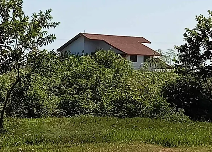 Séjour chez l'habitant Geyu House